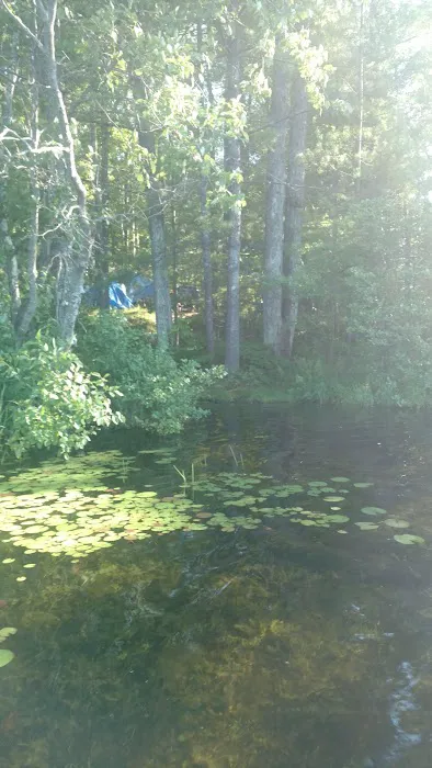 Spring Lake State Forest Campground Picture 10