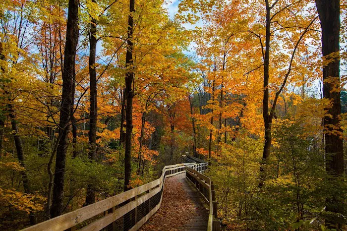 Chippewa Landing Picture 4