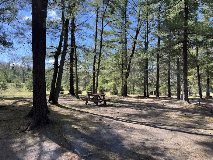 Fox Run Family Campground & Rv Park Picture 2