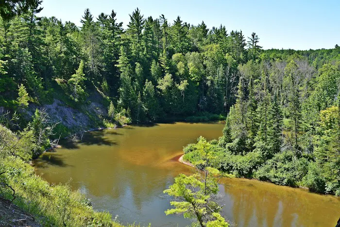 Old US 131 State Forest Campground Picture 3