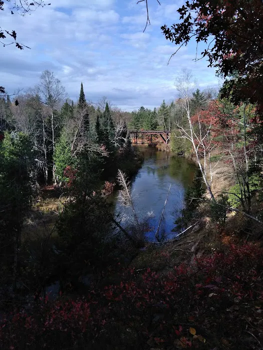 Old US 131 State Forest Campground Picture 1
