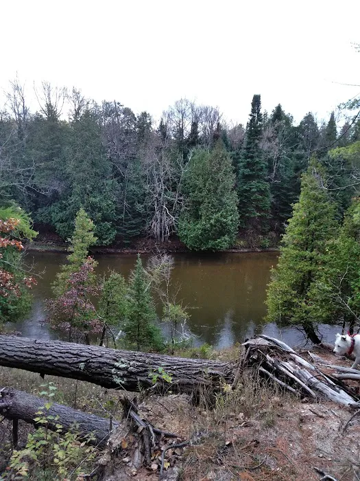 Old US 131 State Forest Campground Picture 2