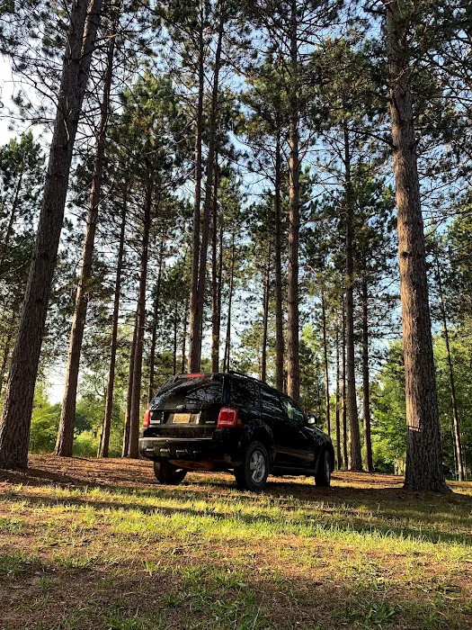 Manton Trails RV Park & Campground Picture 6