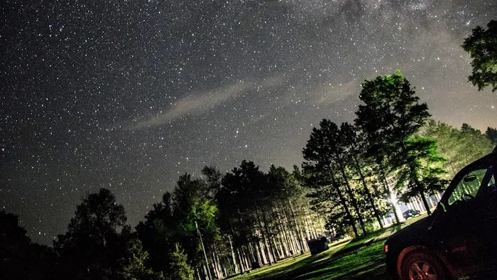 Manton Trails RV Park & Campground Picture 10