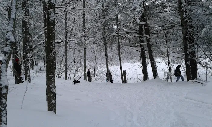 Log Lake Campground Picture 4