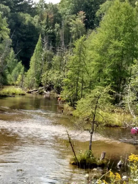 Rapid River Campground & Cabins Picture 10