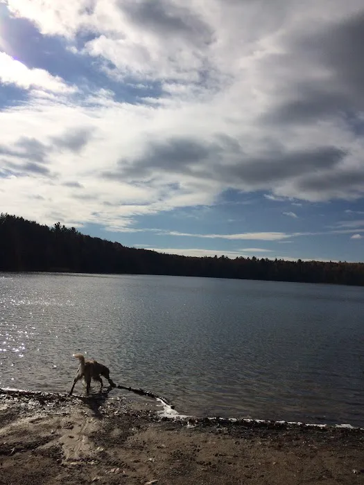 Guernsey Lake Campground Picture 1