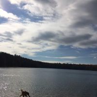 Guernsey Lake Campground ico