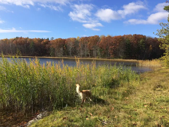 Guernsey Lake Campground Picture 2