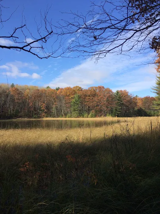 Guernsey Lake Campground Picture 4