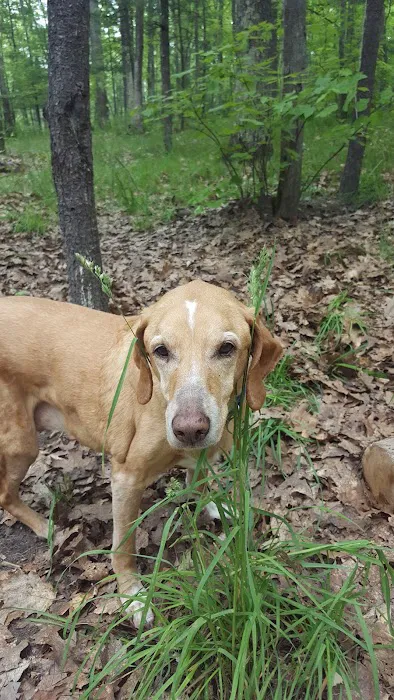 Guernsey Lake Campground Picture 3