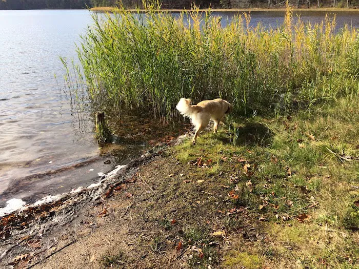 Guernsey Lake Campground Picture 9