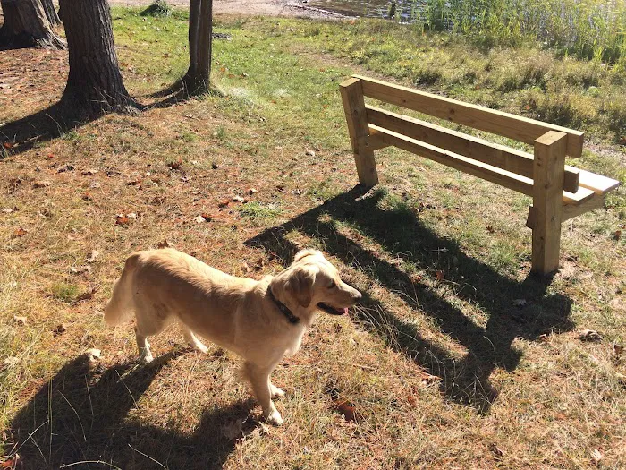 Guernsey Lake Campground Picture 7