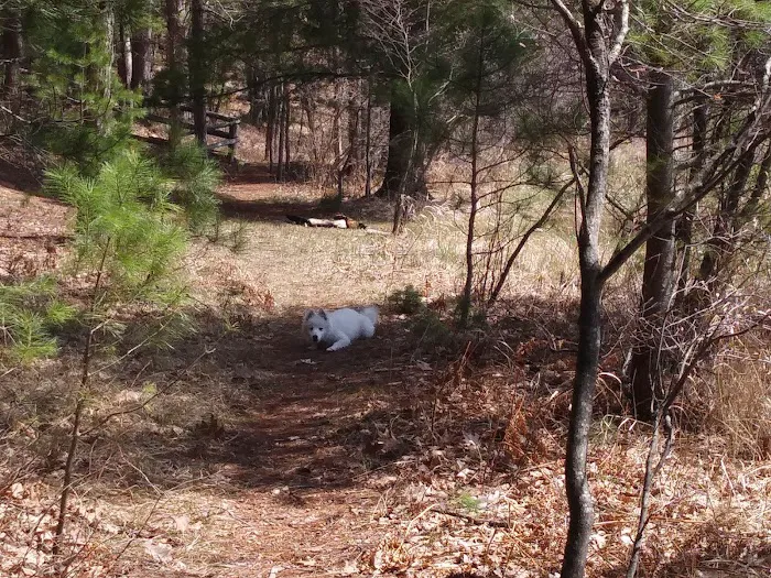 Guernsey Lake State Forest Campground Picture 3