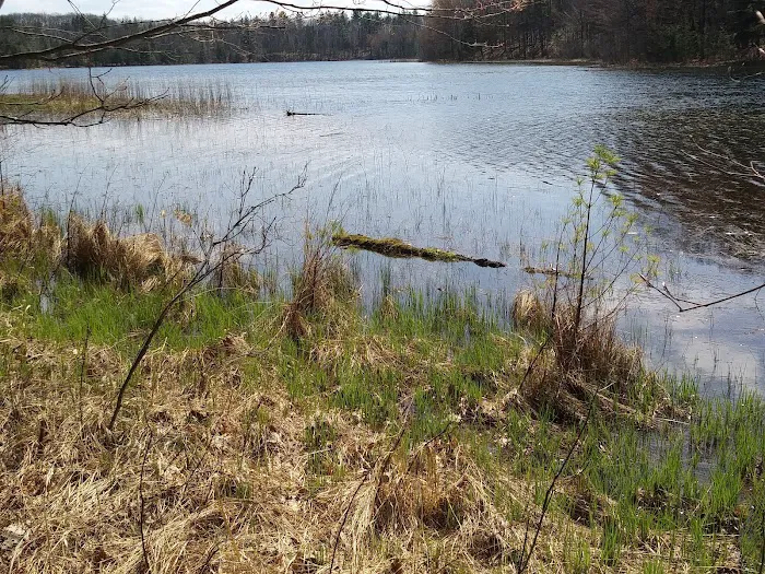 Guernsey Lake State Forest Campground Picture 6