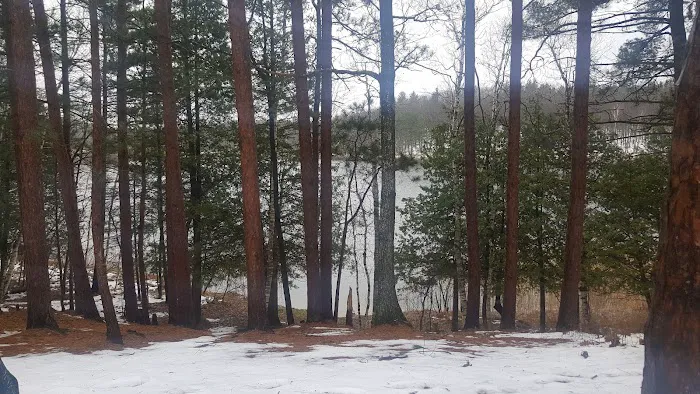 Guernsey Lake State Forest Campground Picture 9