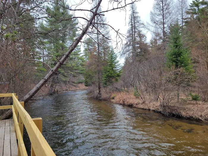 Forks State Forest Campground Picture 3