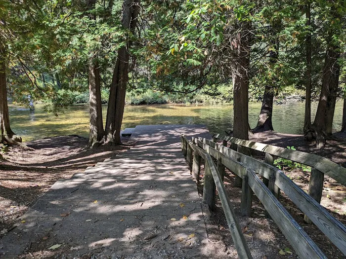 Forks State Forest Campground Picture 5