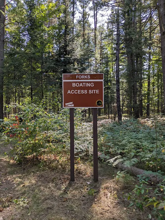 Forks State Forest Campground Picture 6