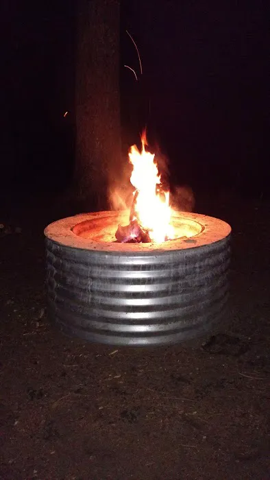 Forks State Forest Campground Picture 7