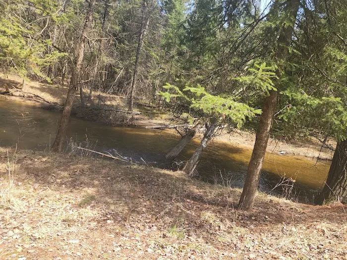 Forks State Forest Campground Picture 9