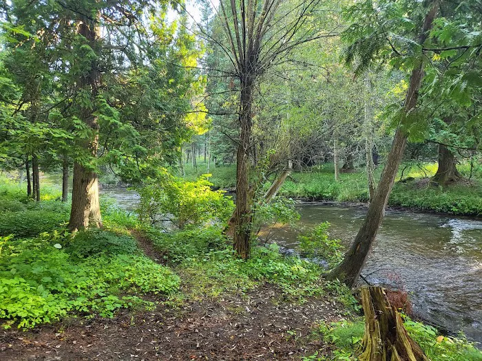 Forks State Forest Campground Picture 8