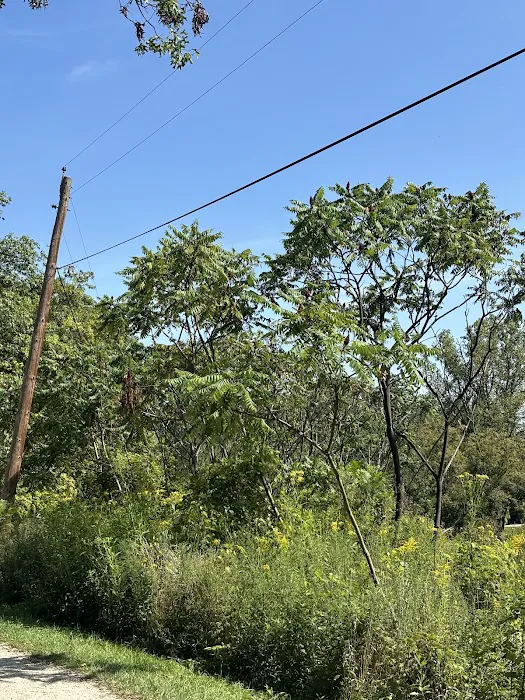Waterfall Glen Youth Campground Picture 4