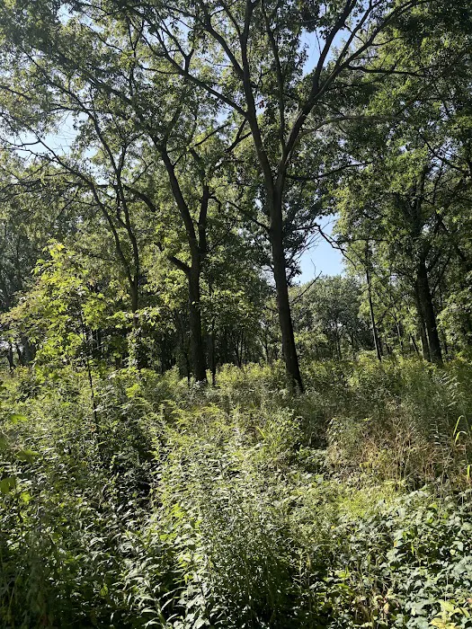 Waterfall Glen Youth Campground Picture 2