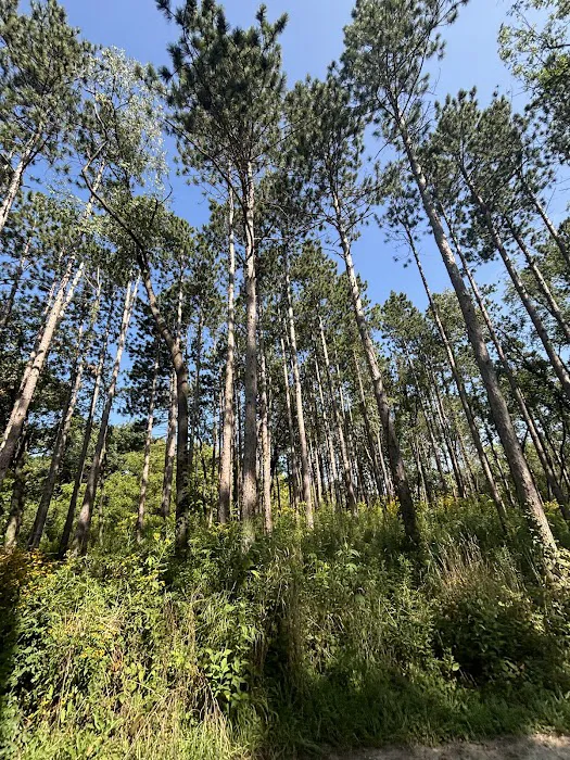 Waterfall Glen Youth Campground Picture 8