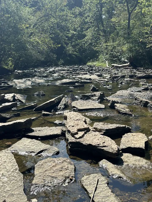 Waterfall Glen Youth Campground Picture 6