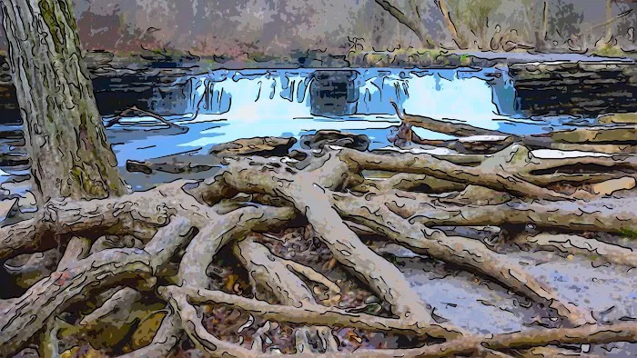 Waterfall Glen Youth Campground Picture 10