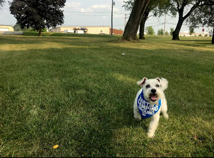 Martin's Camping Ground Picture 10