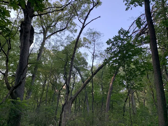 Greene Valley Campground Picture 6