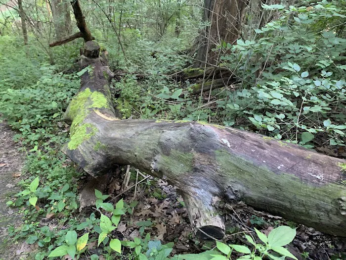 Greene Valley Campground Picture 7