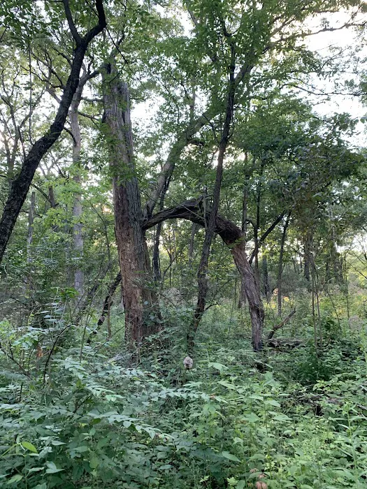 Greene Valley Campground Picture 8