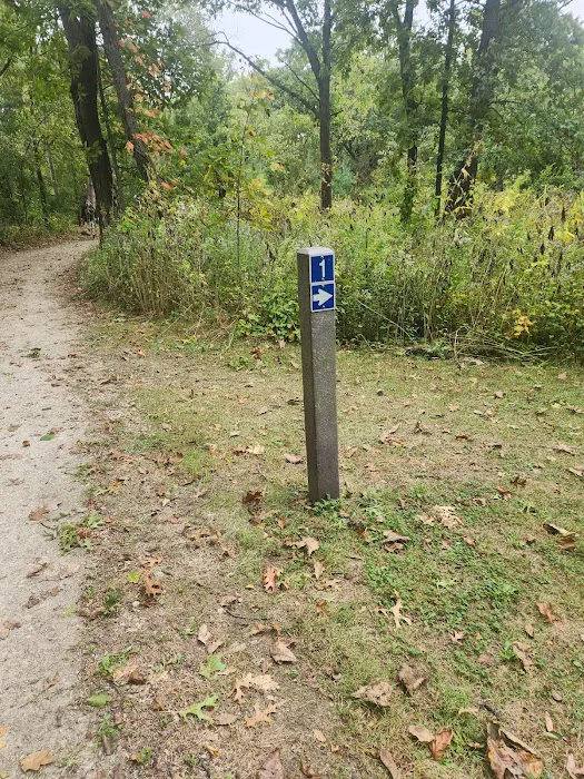 Camping Site 1 Picture 1