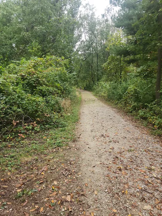 Camping Site 2 Picture 1