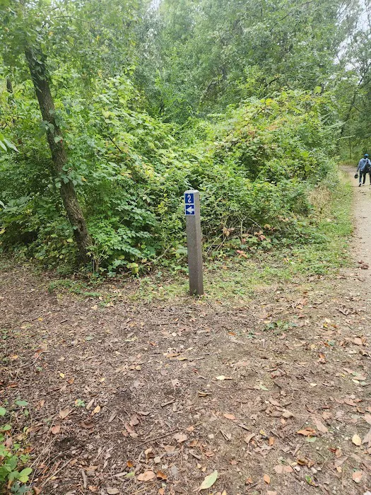 Camping Site 2 Picture 2