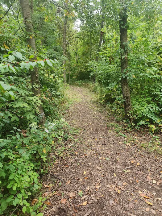 Camping Site 2 Picture 3