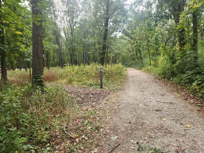 Camping Site 3 Picture 2