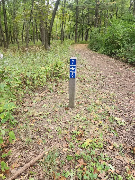 Camping Site 7 Picture 1