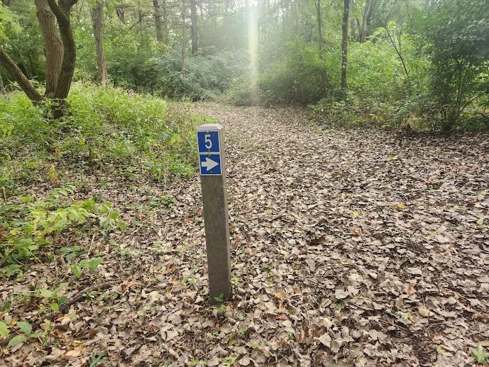 Camping Site 5 Picture 2