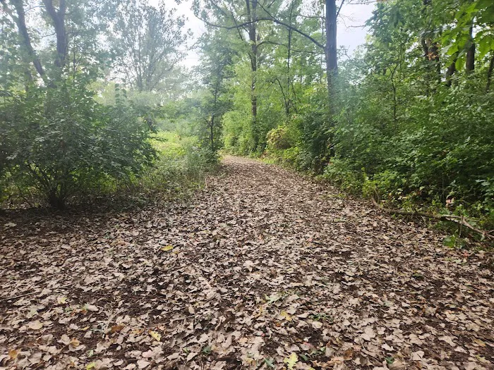 Camping Site 5 Picture 1