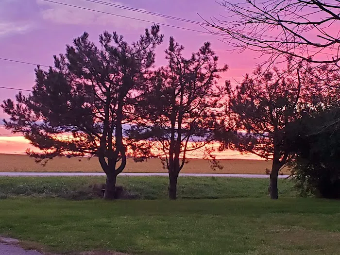 Enchanted Shores Picture 3