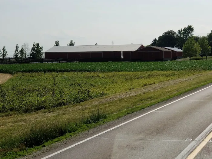 Enchanted Shores Picture 5