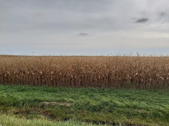 Enchanted Shores Picture 10