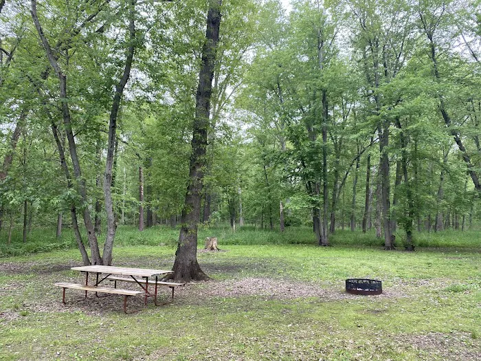 Lake Alexander Campground Picture 7