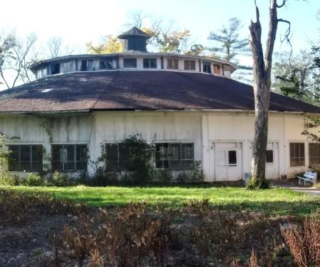 Camp Ground Road Woods