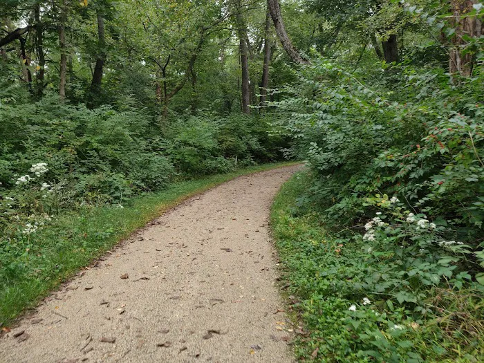 Camp Ground Road Woods Picture 2