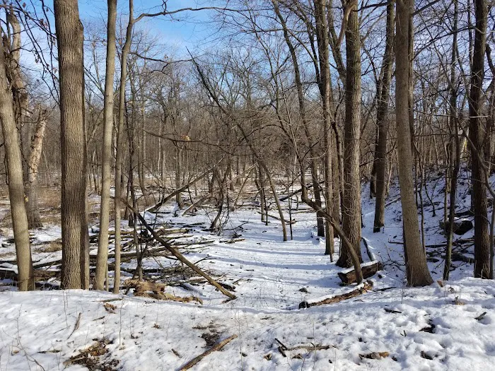 Camp Ground Road Woods Picture 4